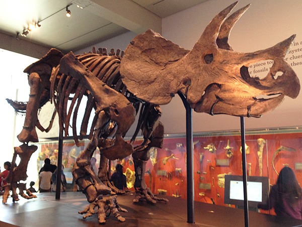 Three Dudes Who Made it to the Moon